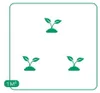 6 Pflanzen Ruten-Hirse 'Northwind', Panicum virgatum, P9 Produktbild-Vorschau 5
