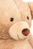 Close-up of a teddy bear's face. Produktbild-Vorschau