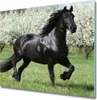 Glas Herdabdeckplatte 60x52 cm Spritzschutz Produktbild-Vorschau 1