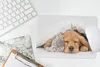 MuchoWow® Mauspad Mousepad Haustiere - Hund - Katze - Decke Produktbild-Vorschau 5