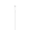 Câble Apple Lightning vers USB (1 m) Voir les images du produit 21