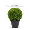 Buchsbaumkugel Ø 35 cm – Immergrün Buxus sempervirens Produktbild-Vorschau 5