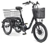 Telefunken TC550 E-Dreirad Elektrofahrrad / Pedelec mit Produktbild-Vorschau 1