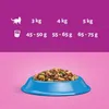 WHISKAS Karma Sucha Dla Kota 1+ Z Tuńczykiem 14kg Podgląd zdjęcia produktu 3