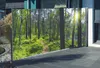 Seitenmarkise mit Fotodruck Wald Produktbild-Vorschau 3