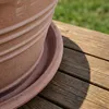 Teramico Premium Terracotta Untersetzer Ø 42 cm | Frostfest Produktbild-Vorschau 4