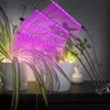 Lampada LED per piante Ikodm, 40W, spettro completo, 4 Anteprima dell’immagine prodotto 5