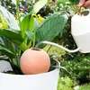 4er-Set Ton-Bewässerungskegel – Automatische Produktbild-Vorschau 7