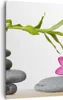 Bild auf Leinwand - Leinwandbild - Einteilig - Ruhig blume Produktbild-Vorschau 1