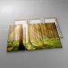 Bild auf Leinwand - Leinwandbild - Bäume Sonne Natur - Produktbild-Vorschau 2