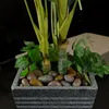 Dekosteine rot poliert 10 kg | Kieselsteine Garten 2-3 cm | Produktbild-Vorschau 4