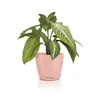 DECO 28 - Übertopf Magnolie | Ø 28 × 26 cm | matte Produktbild-Vorschau 3