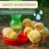 Tränkeschale für Kunststoffflaschen Trinkschale für PET Produktbild-Vorschau 3