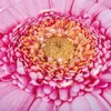 INTEX Luftmatratze Blume Ø 142 cm, aufblasbar Produktbild-Vorschau 11