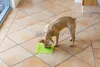 LickiMat Lízacia podložka Buddy 20x20cm ružová Náhľad obrázku produktu 6
