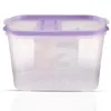 A clear studio shot of a clear plastic food storage container with a purple lid, set against a white background. Anteprima dell’immagine prodotto