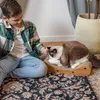 Petsona Kratzbrett Für Katzen Natürlicher Katzenkratzer Produktbild-Vorschau 2
