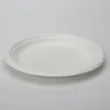 RyanPack Zuckerrohr Bagasse Teller 18 cm Weiß – Einweg Produktbild-Vorschau 2