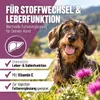 REAVET Mariendistelöl für Hunde & Pferde 500ml – Naturrein Produktbild-Vorschau 2