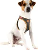 CURLI Pettorina per cani in pelle di mela nera XS, 3-5 kg Anteprima dell’immagine prodotto 4