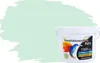 RyFo Colors Bunte Wandfarbe Manufakturweiß Aloegrün 3l  - Produktbild-Vorschau 1