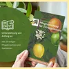 Meine Orangerie Buddhas Hand Zitrone Mezzo - echter Produktbild-Vorschau 6