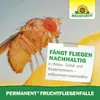 Neudorff Permanent FruchtfliegenFalle,  1 Set Produktbild-Vorschau 6