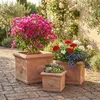Teramico Bac à plantes « Cubo Rosone » Terre cuite Voir les images du produit 8