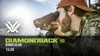Vortex Optics Diamondback HD 15x56, 15x, 5,6 cm, Czarny, Podgląd zdjęcia produktu 7