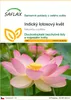 SAFLAX - Indický lotosový květ - Nelumbo nucifera   - 8 Náhled obrázku produktu 1