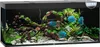 JUWEL Aquarium Rio 450 inkl. LED-Beleuchtung, Pumpe, Filter Produktbild-Vorschau 6