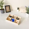 Creative Deco Setzkasten Sammelbox Holz | 6 Fächer | 27,5 x Produktbild-Vorschau 4