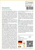 SAFLAX Garden to go - Königsprotea - Protea cynaroides - 5 Produktbild-Vorschau 3