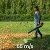 Souffleur de feuilles à batterie BL 500e Kit 48V avec 1 Voir les images du produit 8