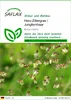 SAFLAX - Herz-Zittergras / Jungfernhaar - Briza media - 75 Produktbild-Vorschau 1