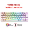 A white keyboard with RGB lighting and marketing text above it. Produktbild-Vorschau