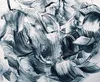 Coloray Fototapete 250x250 cm An Einer Wand Latex Produktbild-Vorschau 2