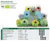Dehner Bio Stauden-Set Bunter Landhausgarten, je 3x Produktbild-Vorschau 3