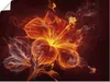 ARTland Poster Feuerblume Größe: 40x30 cm Produktbild-Vorschau 1