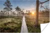 MuchoWow® Poster Wald - Sumpf - Baum 90x60 cm - Produktbild-Vorschau 1
