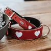 Hunter Halsband Love rot/schwarz Produktbild-Vorschau 2