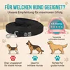 HUND IST KÖNIG 10m Schleppleine Hund - Schleppleine 10m für Produktbild-Vorschau 6