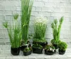 A collection of artificial plants in black pots arranged on a white brick wall background. Produktbild-Vorschau