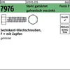 Reyher  Blechschrauben DIN 7976 St. 4,8x19 -F vz (250 Produktbild-Vorschau 2