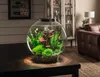 Akvárium biOrb CLASSIC 30 LED šedá Náhled obrázku produktu 6