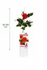 Kletterrose Crazy in Love Rot 50–70 cm – duftende rote Produktbild-Vorschau 5