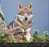 Wandkalender 2027: Wölfe – Beeindruckende Naturfotografie Produktbild-Vorschau 16