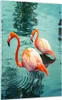 Bilder auf glas - Einteilig - Rosa Flamingos Wasser - Produktbild-Vorschau 1