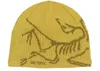 Arc‘teryx Bird Head Toque Beanie Ediza Produktbild-Vorschau 2