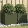 Two olive green square planters with green bushes in them, placed on white gravel and grass in front of a wooden fence. Anteprima dell’immagine prodotto